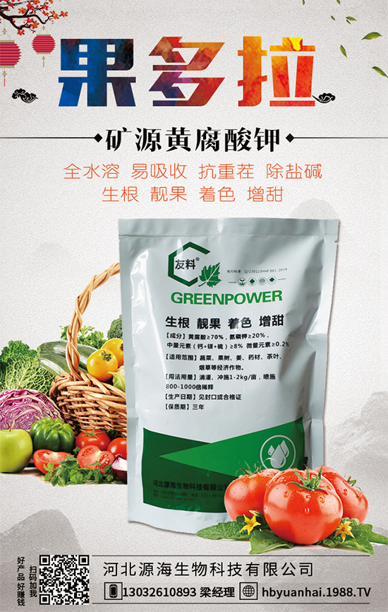 大蒜今日價格多少錢一斤？2020年大蒜種植前景如何？