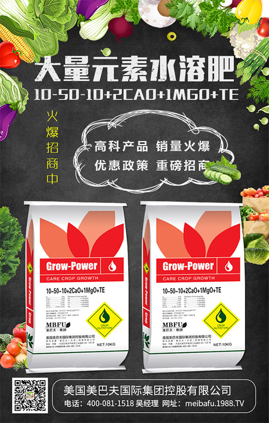 2020年種植什么蔬菜掙錢嗎？2020年種植什么蔬菜前景好？