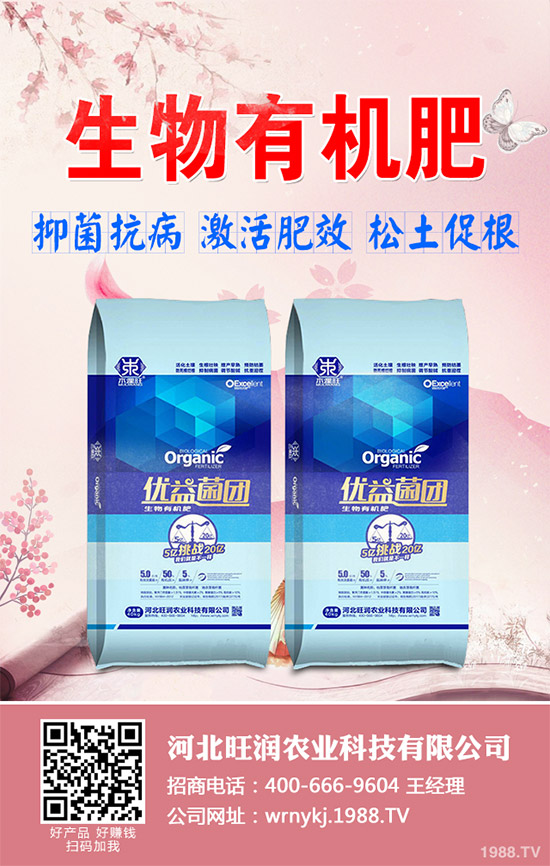 大棚韭菜該怎么種？冬季大棚韭菜種植技術(shù)要點