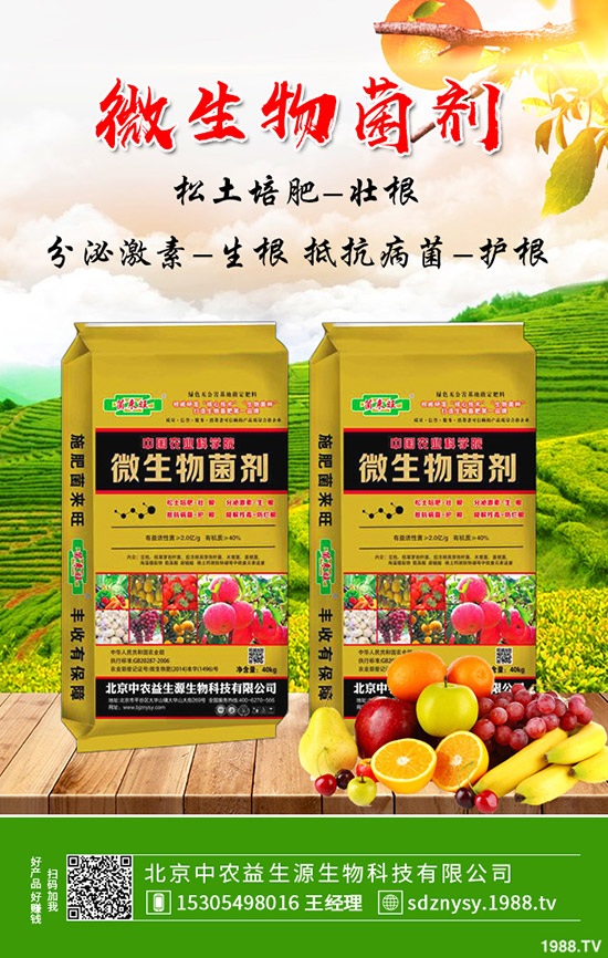     復(fù)合肥今年價(jià)格“保底”，2019-12-12最新行情走勢(shì)綜合分析！