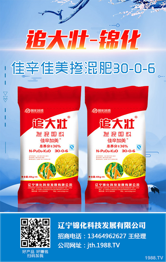 蔓荊子該如何種植？中藥材蔓荊子高種植管理方案