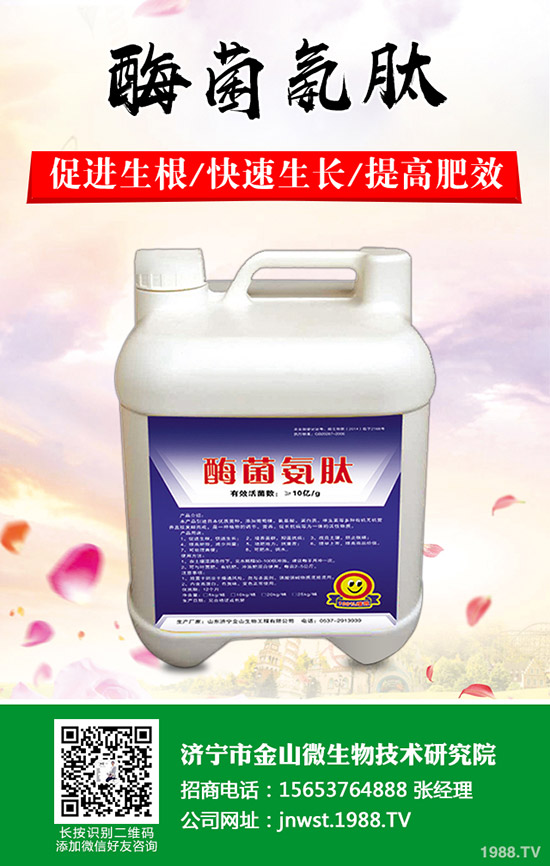 李子樹怎么修剪？李子樹的修剪方法有哪些呢？