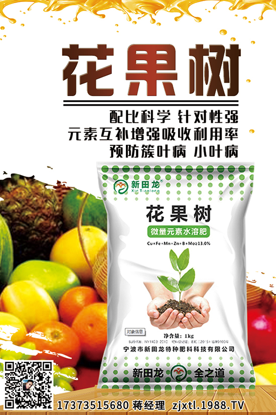 胡蘿卜育苗時間 胡蘿卜育苗技術要點