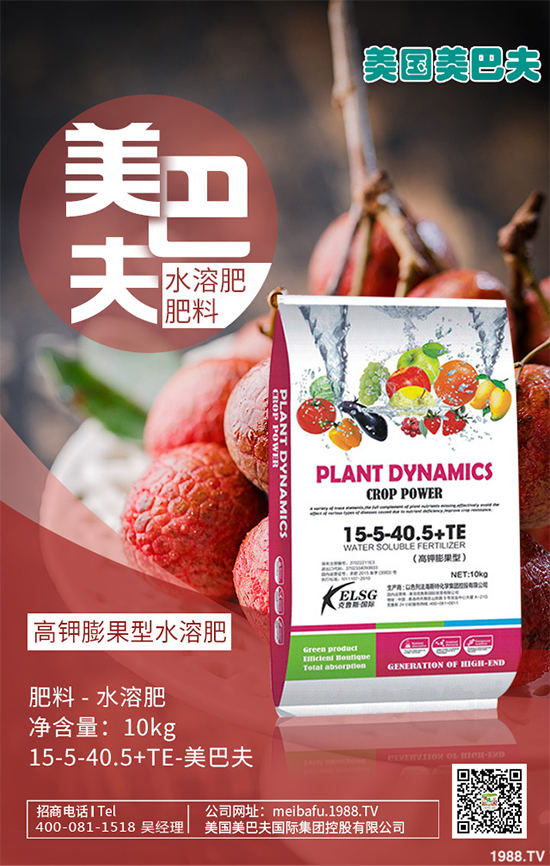 芽苗菜種植前景如何？芽苗菜的種植方法！