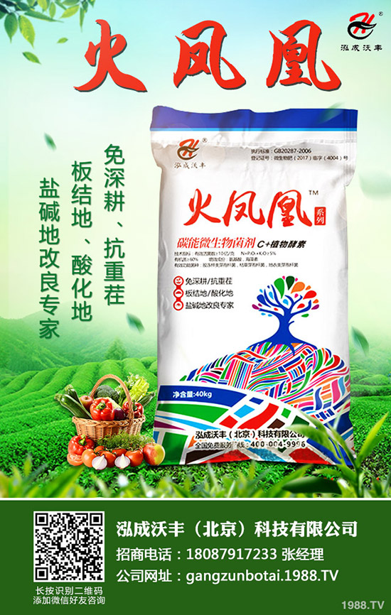     2020年種植生姜賺錢么？前景怎樣？一畝生姜投資及效益分析！