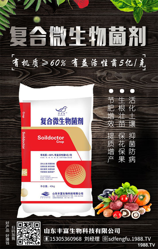 鳳梨是哪里的特產(chǎn)？2020年種植前景如何？