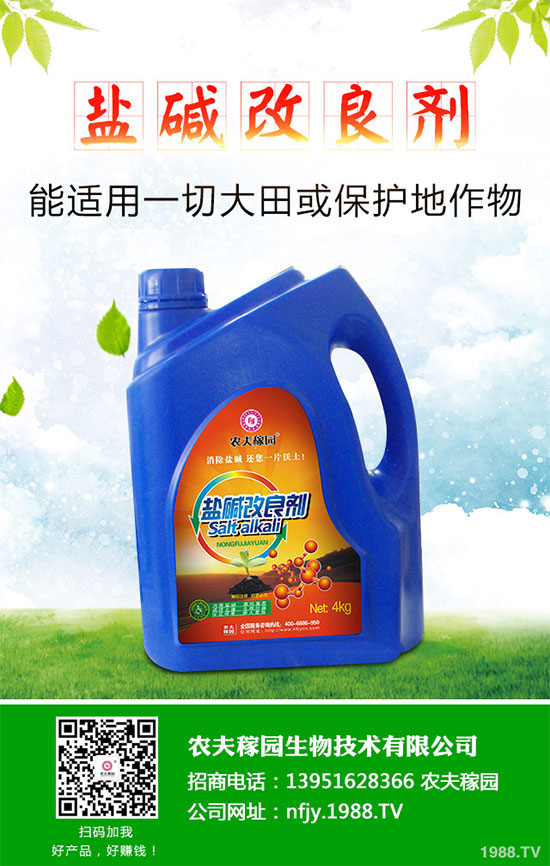 什么是蔓荊子？蔓荊子的功效作用及用法禁忌