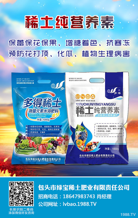 白蠟樹的種植技術(shù)有哪些？白蠟的日常養(yǎng)護(hù)管理！