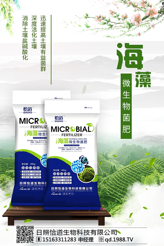 龍膽草的分布地區(qū)，龍膽草的功效與作用！