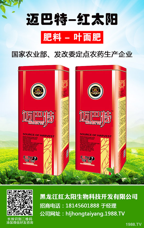 韭菜為什么不分蘗？什么因素影響了韭菜分蘗？