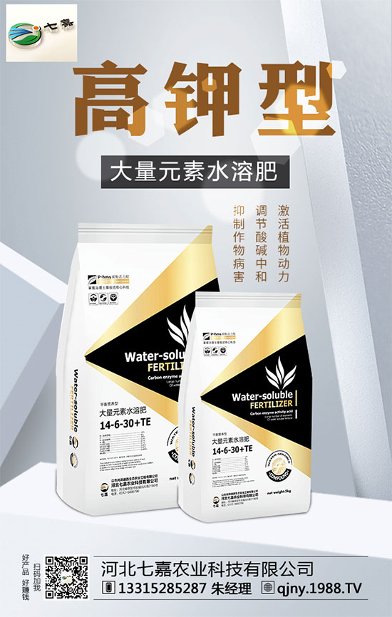 山藥價(jià)格多少錢一斤？2020年山藥種植前景分析！