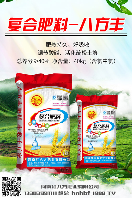 吃蘑菇有什么好處？蘑菇的營養(yǎng)價值及功效作用