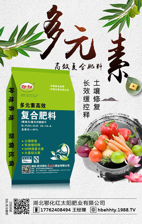 洋蔥什么時間種植？洋蔥的種植要點！