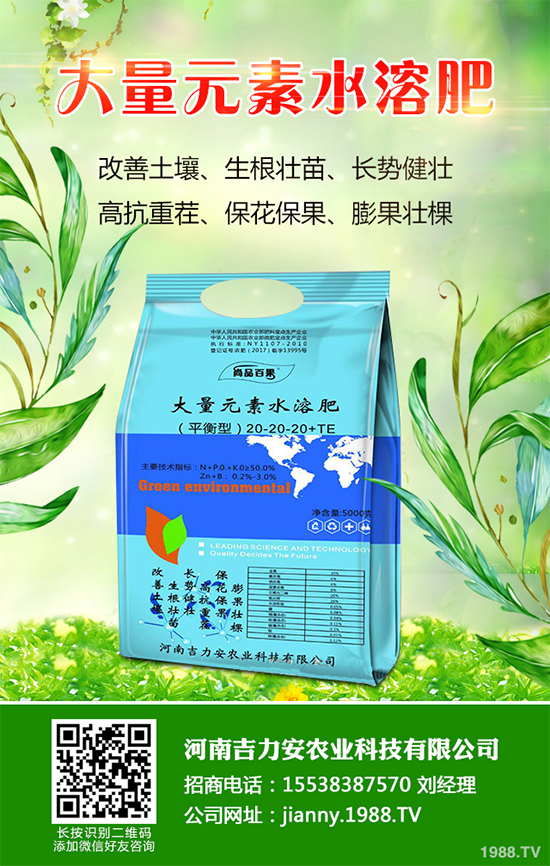 花椒樹什么時候種植？花椒樹種植季節(jié)及種植技術(shù)要點