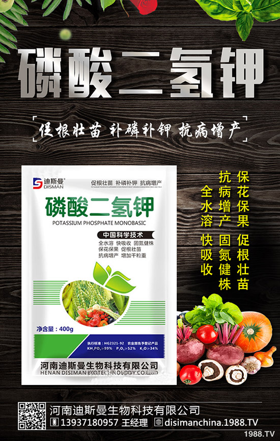 醋栗怎么種植，醋栗種植方法及日常管理技巧！