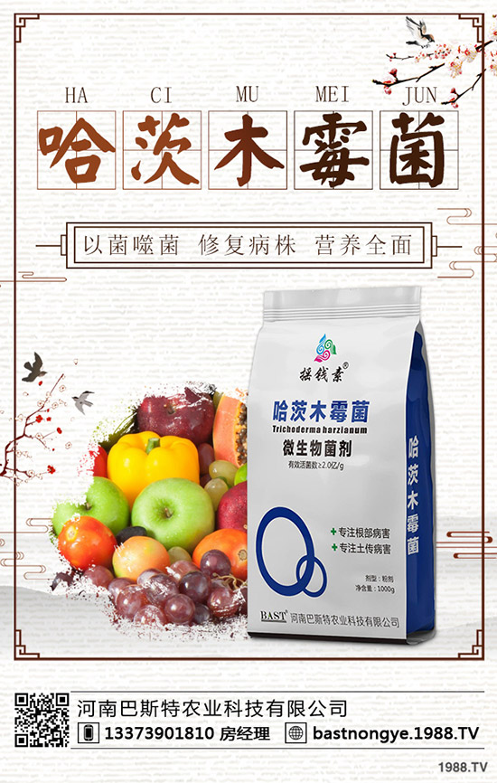 冬儲行情即將啟動！最新鉀肥價格行情預測2019-12-20