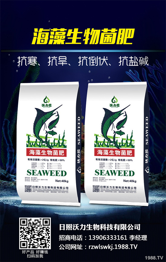 荊芥什么時候種植？荊芥種植時間及種植方法