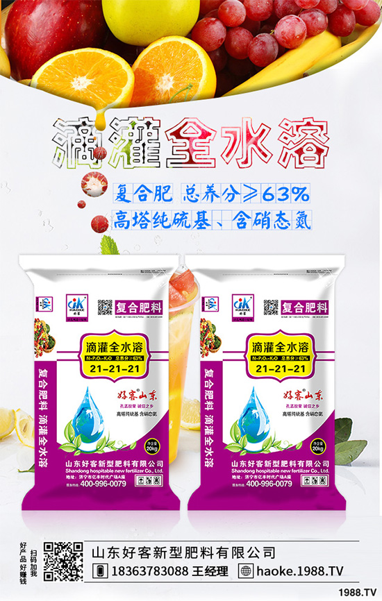 荊芥常見病害有哪些？該如何防治？荊芥常見病害的發(fā)生與防治技巧