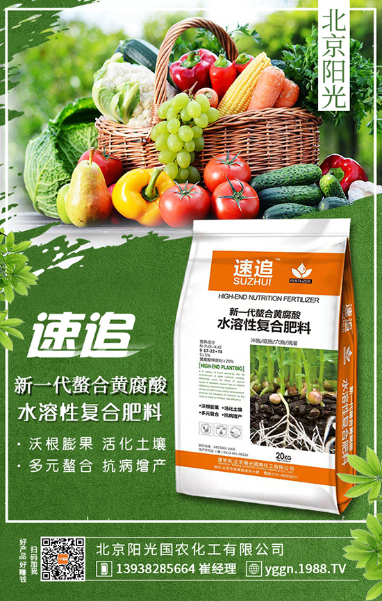 馬鈴薯高產(chǎn)栽培技術