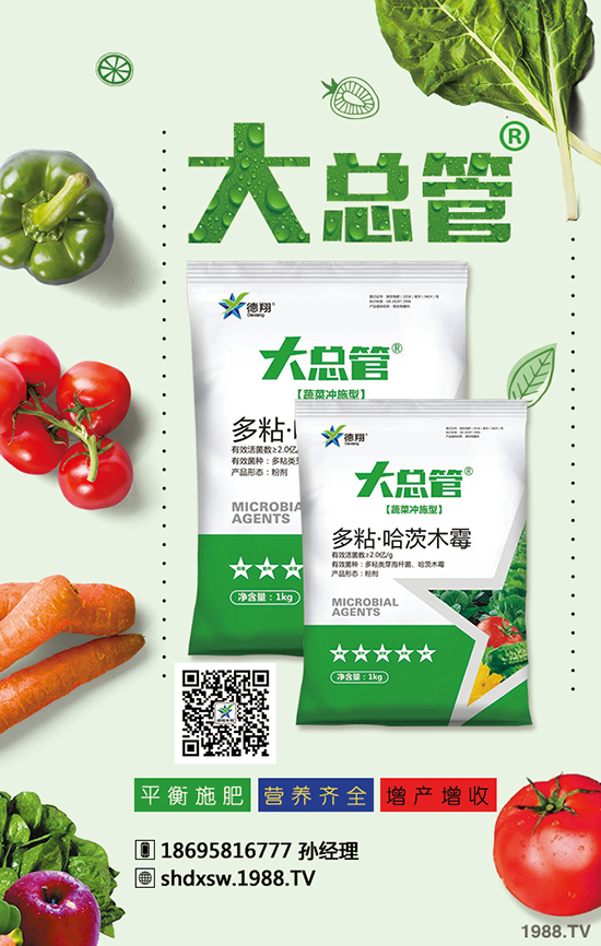 2020年蒜苗種植賺錢嗎？成本多少錢？效益怎么樣？前景如何？