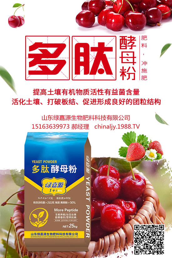 荊芥該如何種植？荊芥的種植環(huán)境要求