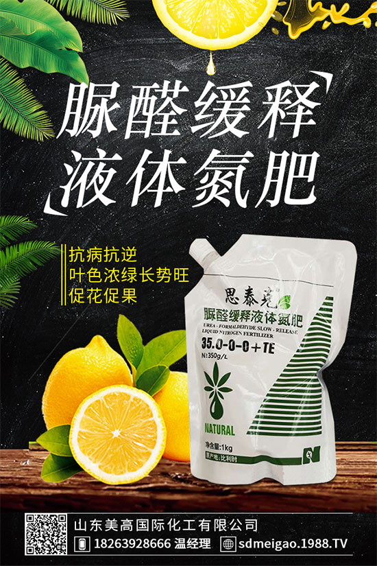 荊芥的功效作用有哪些？什么人不能吃荊芥？