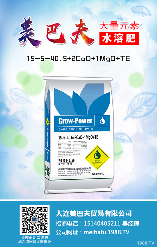 2020種植蒲公英賺錢嗎，蒲公英的種植前景和利潤怎么樣？