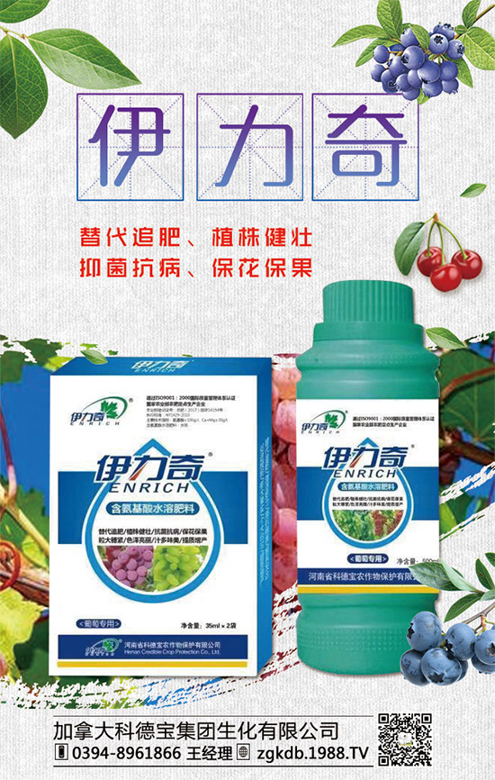     臨近年關！二銨行情是否上浮！2020年二銨價格行情走勢預測！