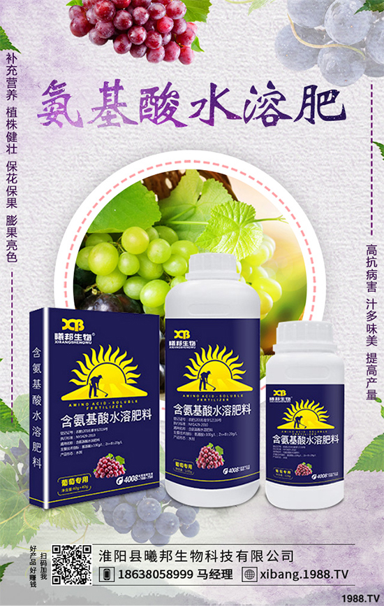 明年種植什么更賺錢？2020年七大賺錢種植項目，快來看看吧！