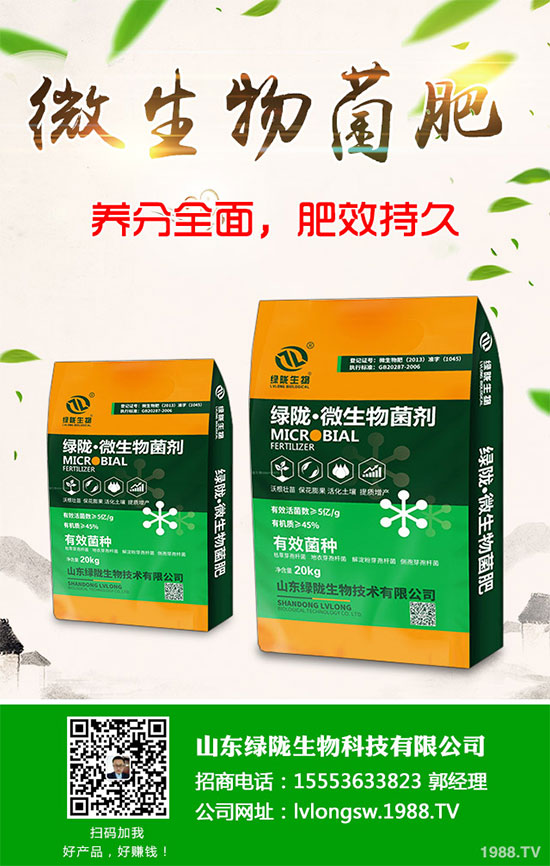 2020板栗種植前景如何？六步教你輕松種出高產(chǎn)板栗