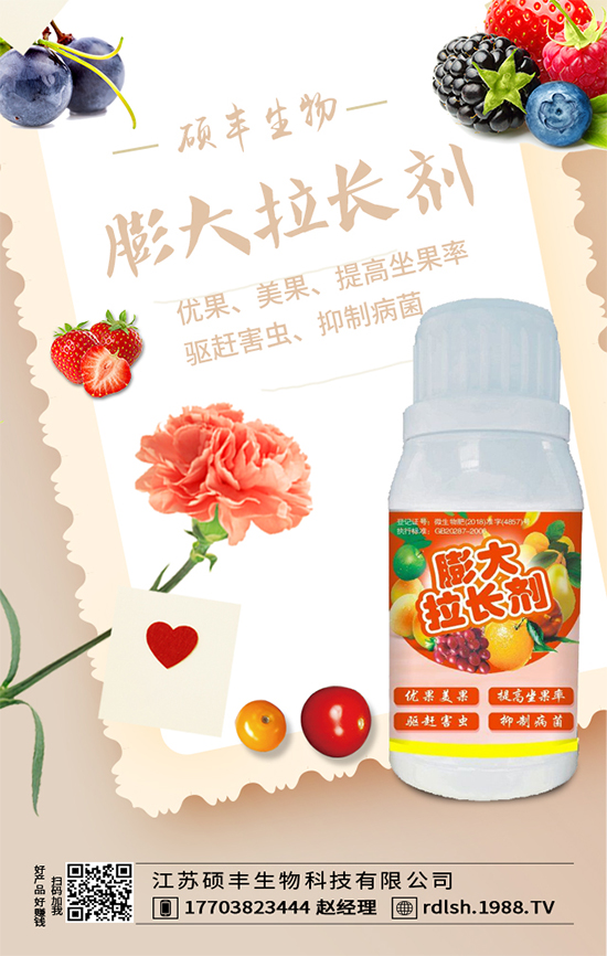 大棚西芹怎么種植？西芹的種植環(huán)境要求！