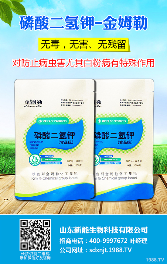 魔芋價格多少錢一斤？2020年魔芋種植的市場行情
