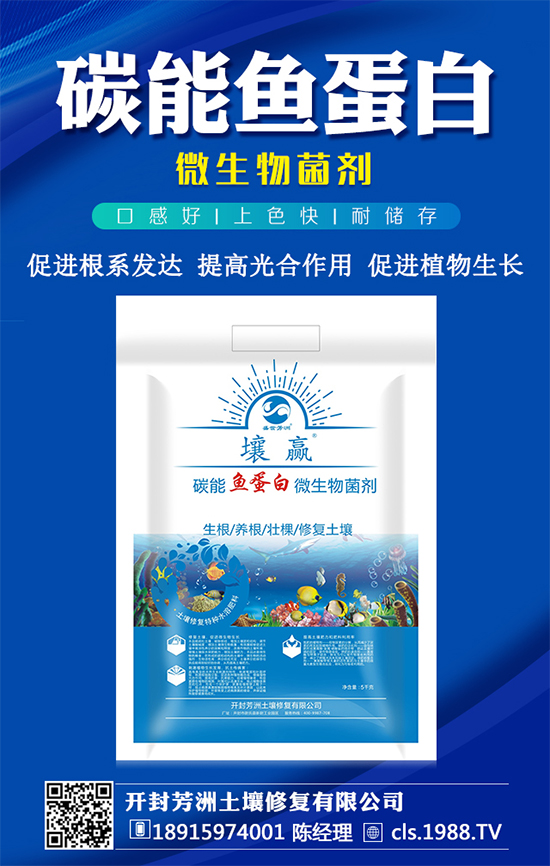 黃皮果種植管理要點，黃皮果種植條件有哪些？