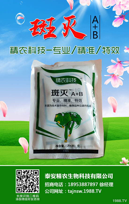 吃蠶豆對人體有哪些好處，蠶豆的功效與營養(yǎng)價值！