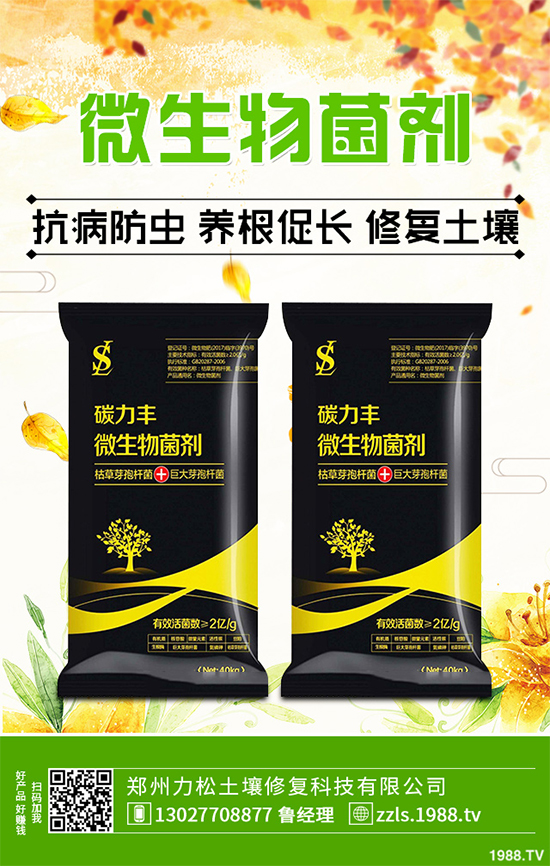 種植什么藥材能賺錢？2020年中藥材種植前景分析