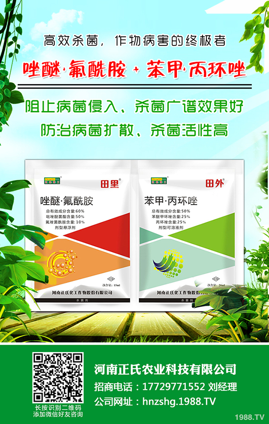 西梅種植的氣候條件，西梅種植的方法！