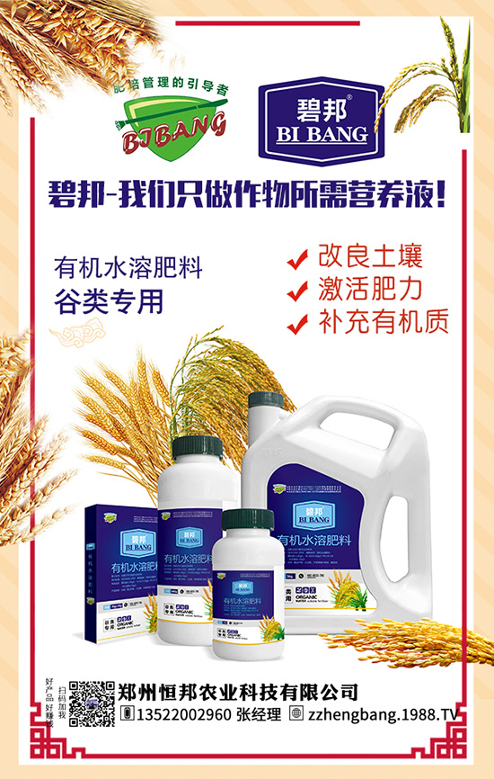 吃天麻有哪些好處？天麻的功效作用及食用禁忌