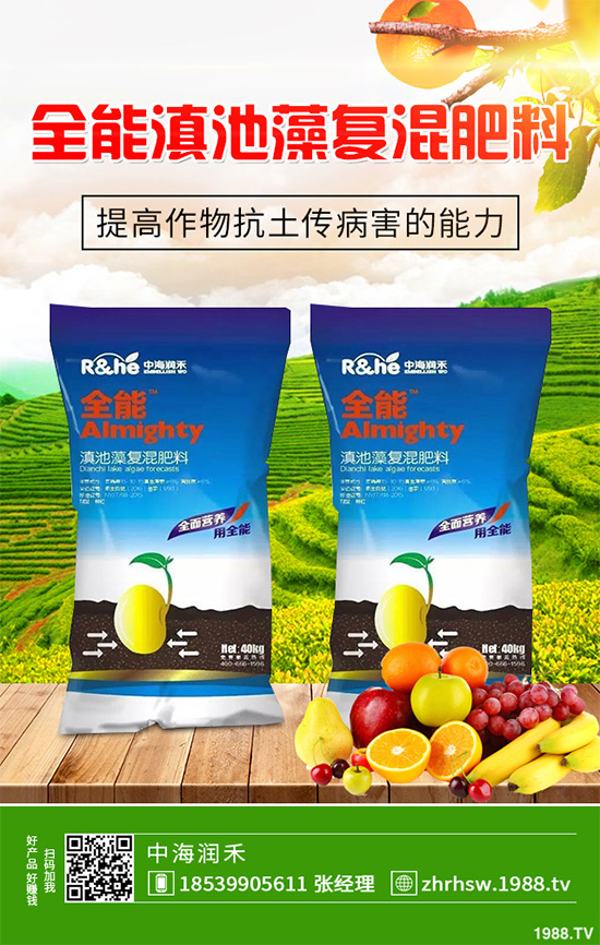 新鮮天麻和干天麻有哪些區(qū)別？那個(gè)效果更好？