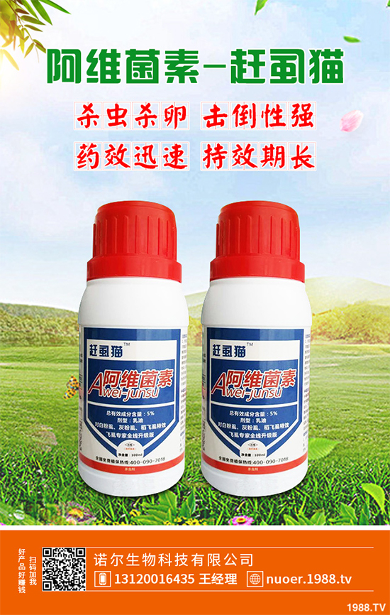 小白菜殺蟲(chóng)劑