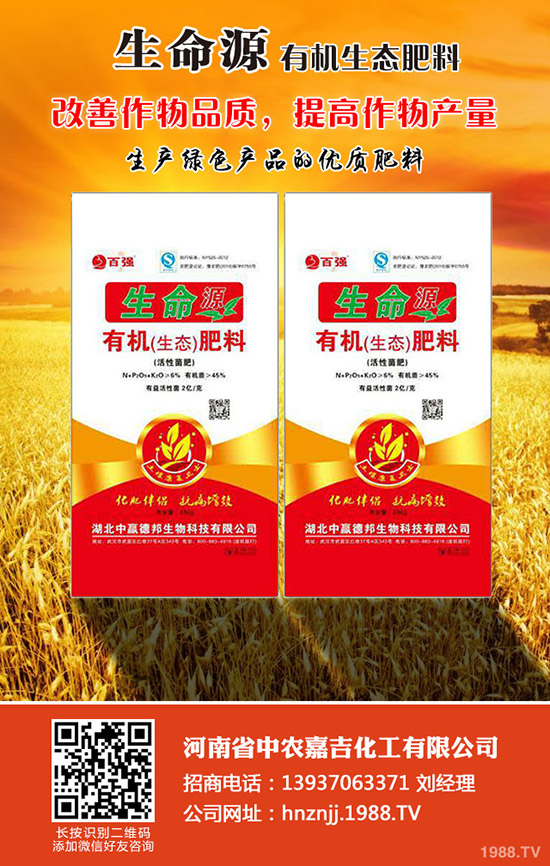 油桃的種植時(shí)間是何時(shí),如何種植油桃?