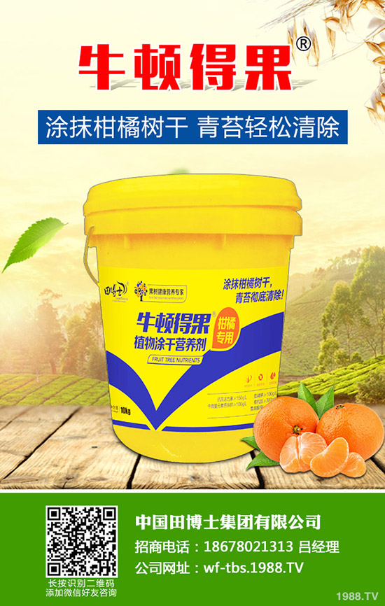 2020種草莓賺錢嗎？草莓種植的成本及前景預測！