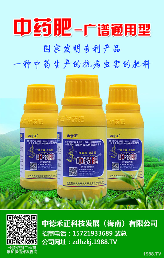 金線蓮有哪些營養(yǎng)價值？金線蓮的功效作用及食用方法