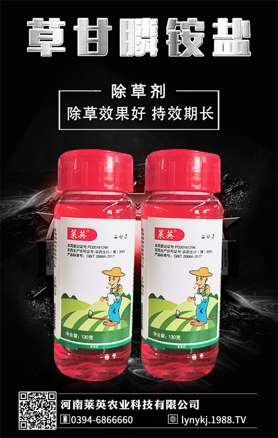     橙子價格如何？貴么？2020種植橙子賺錢么？種植前景怎么樣？