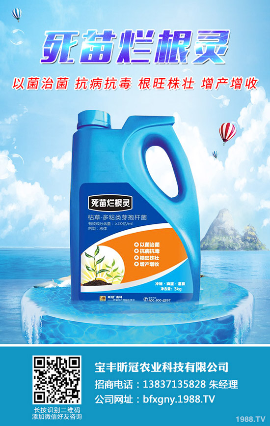 甜菜的種植條件有哪些，甜菜的種植要點(diǎn)！