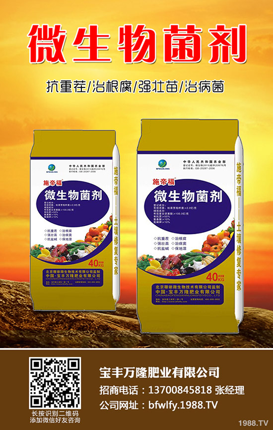 花生什么時(shí)候種植，花生播種技術(shù)要點(diǎn)總結(jié)