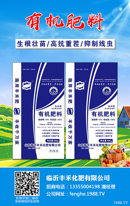     2020年一月份可以種什么蔬菜？1月份種菜的注意事項！