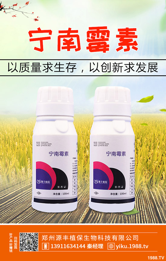 葛根的種植前景怎么樣，葛根的種植技術(shù)有哪些？