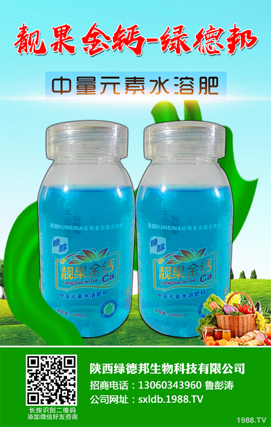 盆栽蔬菜有哪些品種？盆栽蔬菜的種植條件和注意事項(xiàng)