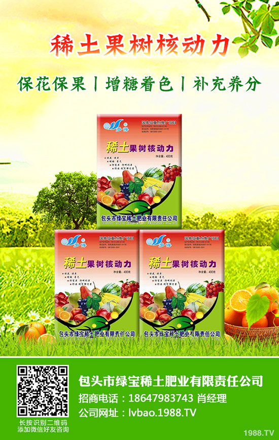 大棚西瓜該怎么育苗，大棚西瓜育苗需要掌握哪些知識