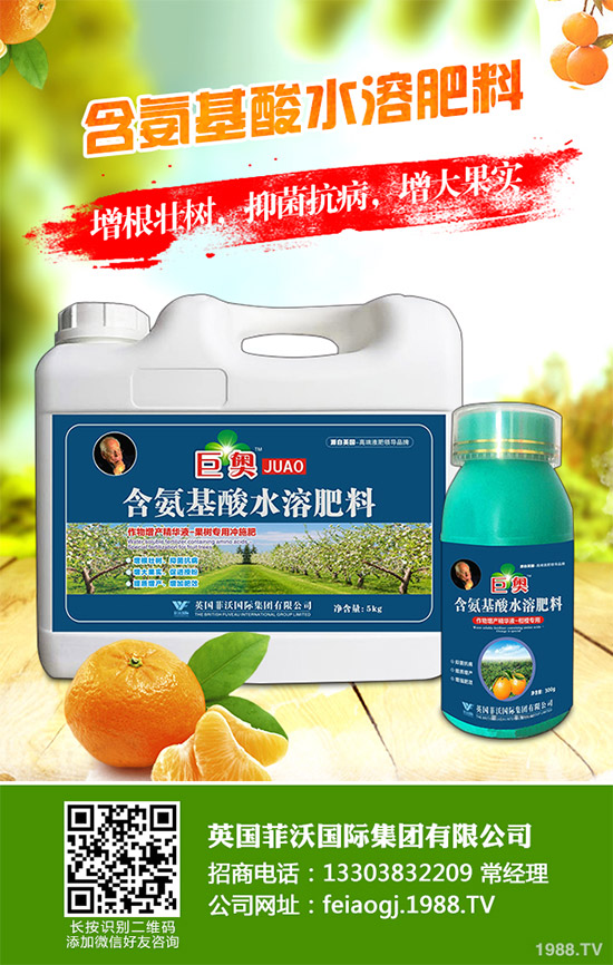 我國南方該怎樣種植藍莓？藍莓高產(chǎn)種植技術(shù)要點